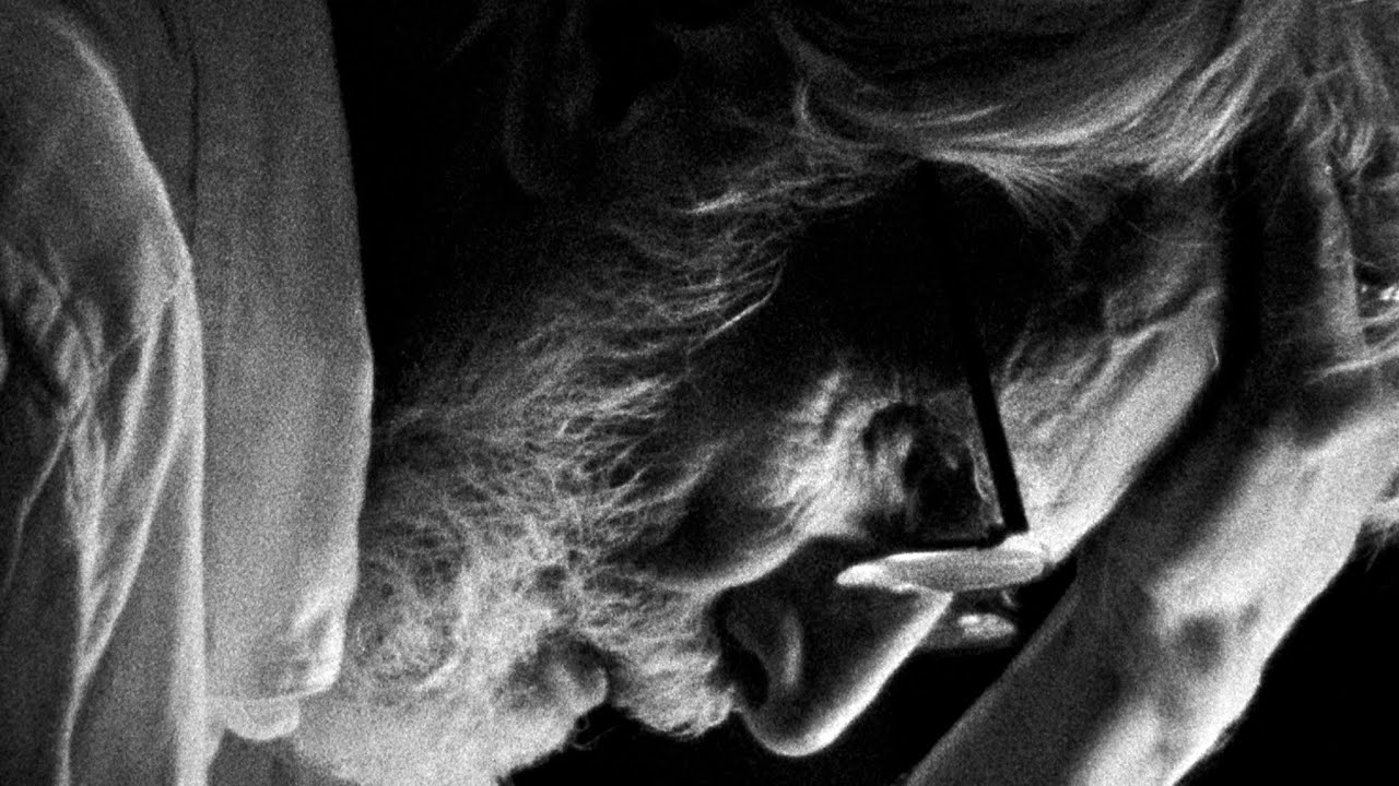 Later in the Clearing Trailer